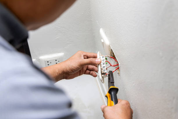 Best Electric Panel Repair  in Saratoga, WY